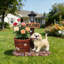 Adorable statue de jardin à énergie solaire pour chiot Labrador avec éclairage DEL automatique