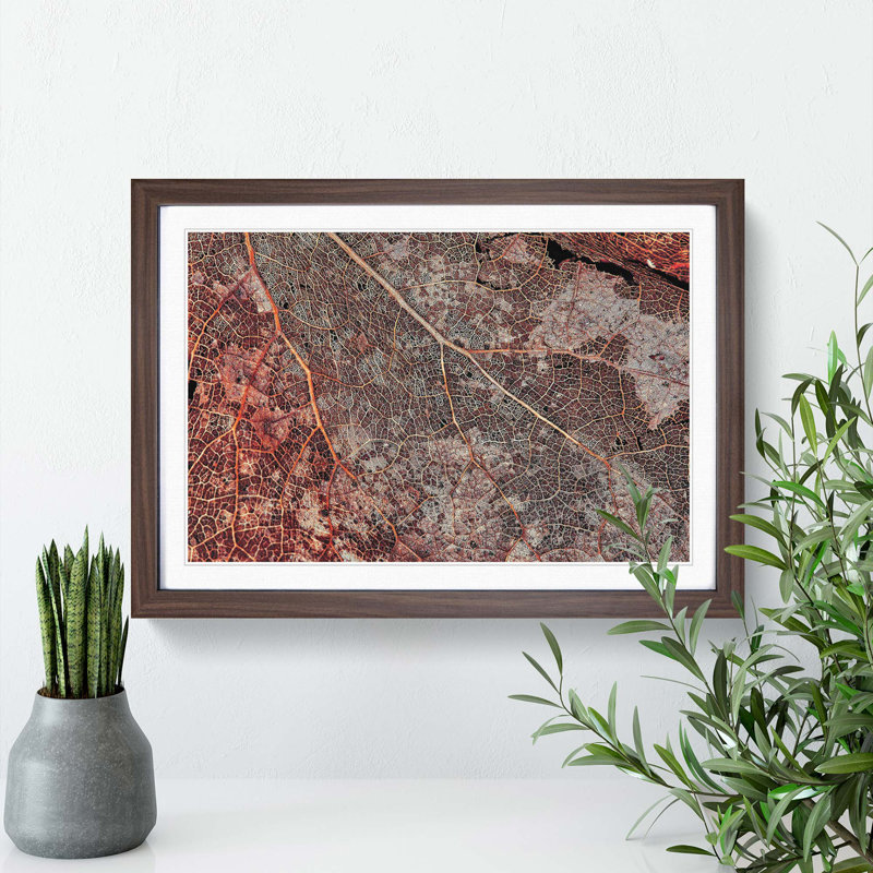 The Beauty of an Autumn Leaf - Picture Frame Photograph Print, Walnut, 50cm H x 76cm W x 2cm D