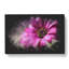 Purple Daisy - Wrapped Canvas-56647724