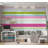 Striped Wall Mural-1293174571