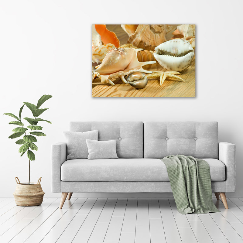 Shells On Wood - Wrapped Canvas Print