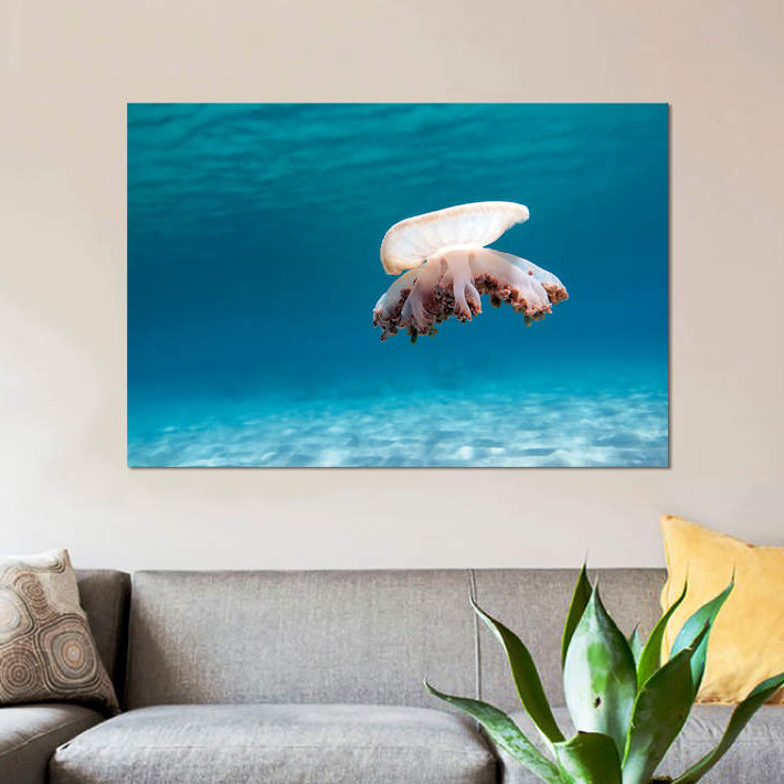 « envers jellyfish », reproduction de photo sur toile, H 8 po x l 12 po x P 0,75 po, Toile tendue, Pas de tapis