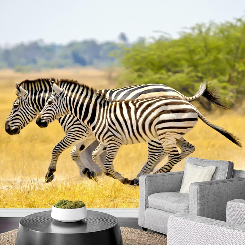 Safari africain sur le terrain avec des zèbres sauvages Photographie de paysage, L 100 po x l 144 po
