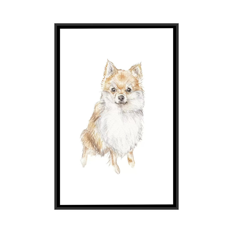 «Pomeranian», reproduction sur toile, H 26 po x l 18 po x P 1,5 po, Toile avec cadre noir, Pas de tapis