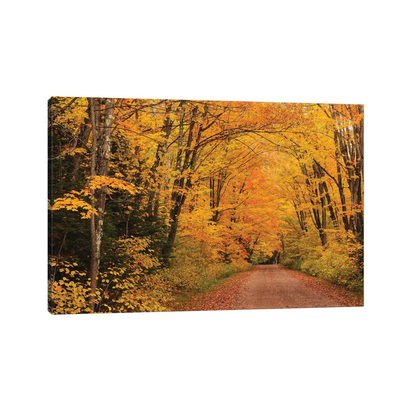 Shady Lane by Brian Wolf - Wrapped Canvas Print, 20.32cm H x 30.48cm W x 1.91cm D