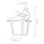 Valentina Black Outdoor Wall Lantern