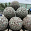 Sphère décorative Emerald Terra-2039504725-2039504724