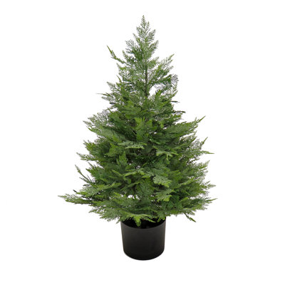 The Holiday Aisle® 3 ft. Cypress Tree in Nursery Pot