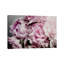 Elizabeth Urquhart - Print on Canvas-29382480-101336730
