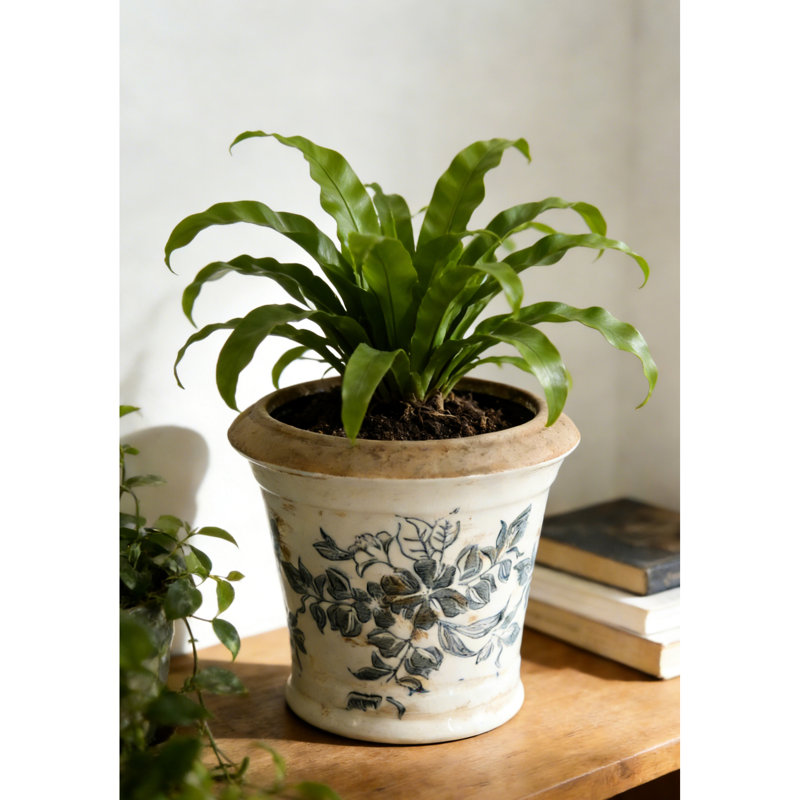 Pot de fleurs en céramique, silhouette évasée, finition blanche patinée, motifs floraux noirs, décor de table traditionnel rustique