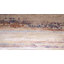 Tapis Beatriz Deepa-77877827