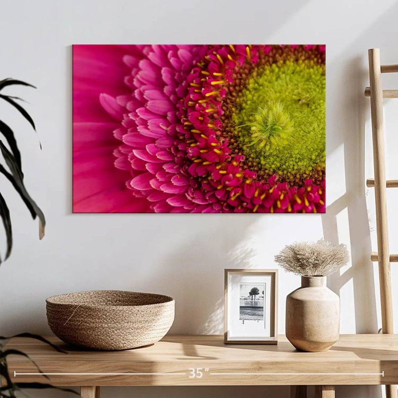 Gerbera magnifiée, H 16 po x l 24 po