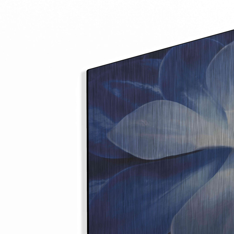 Blue Succulent II par Lori Deiter, H 16 po x l 24 po