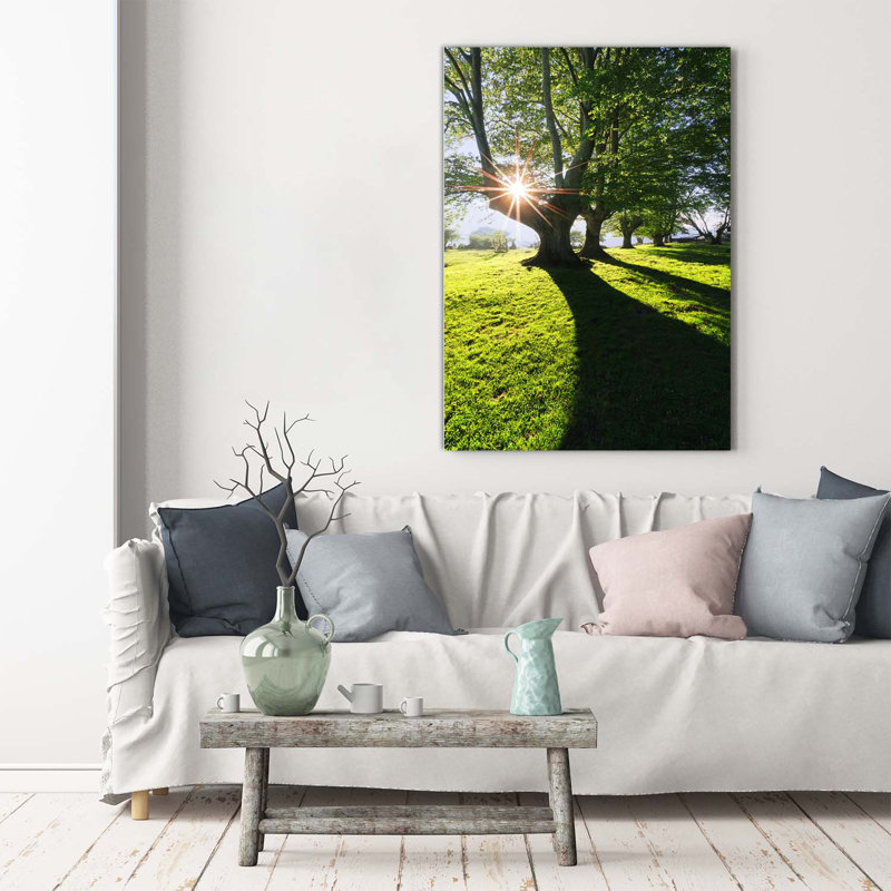 Park - Wrapped Canvas Print