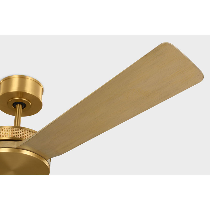 Ventilateur de plafond Elara Smart 56