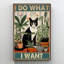 Chat Leyanna Tuxedo I Do What I Want-308508873