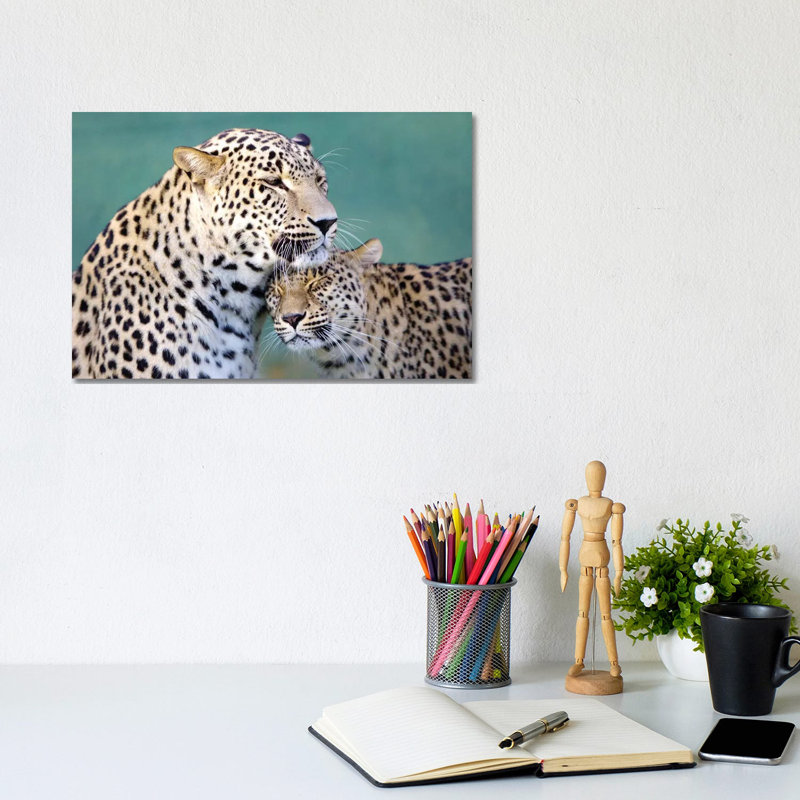 Leopards Love 1 Piece Wrapped Canvas Wall Art, 20.32 cm H x 30.48 cm W