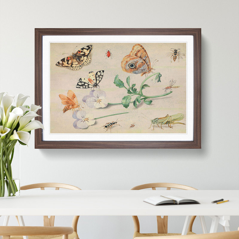 Butterflies and Insects Vol.2 by Jan Van Kessel - Picture Frame Painting, 27cm H x 36cm W x 2cm D, Walnut Framed
