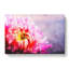 Pink Chrysanthemum Flower - Wrapped Canvas-61838603