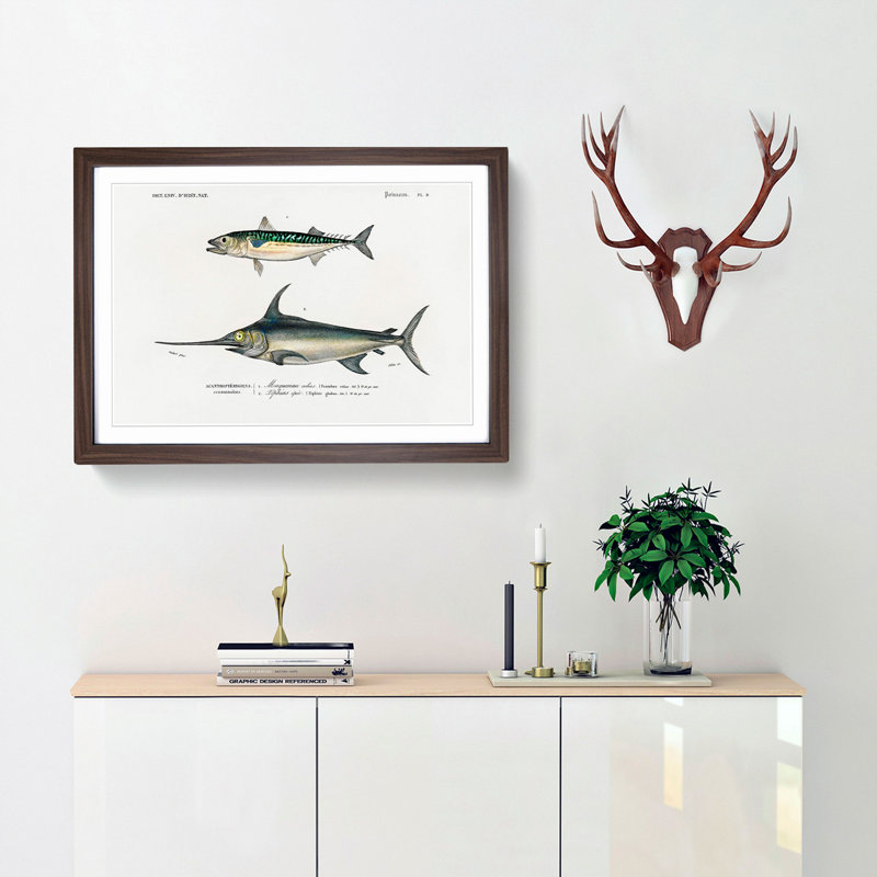 Fish Illustrations PL. 9 by Charles d' Orbigny - Picture Frame Graphic Art Print, 48cm H x 65cm W x 2cm D, Walnut Framed