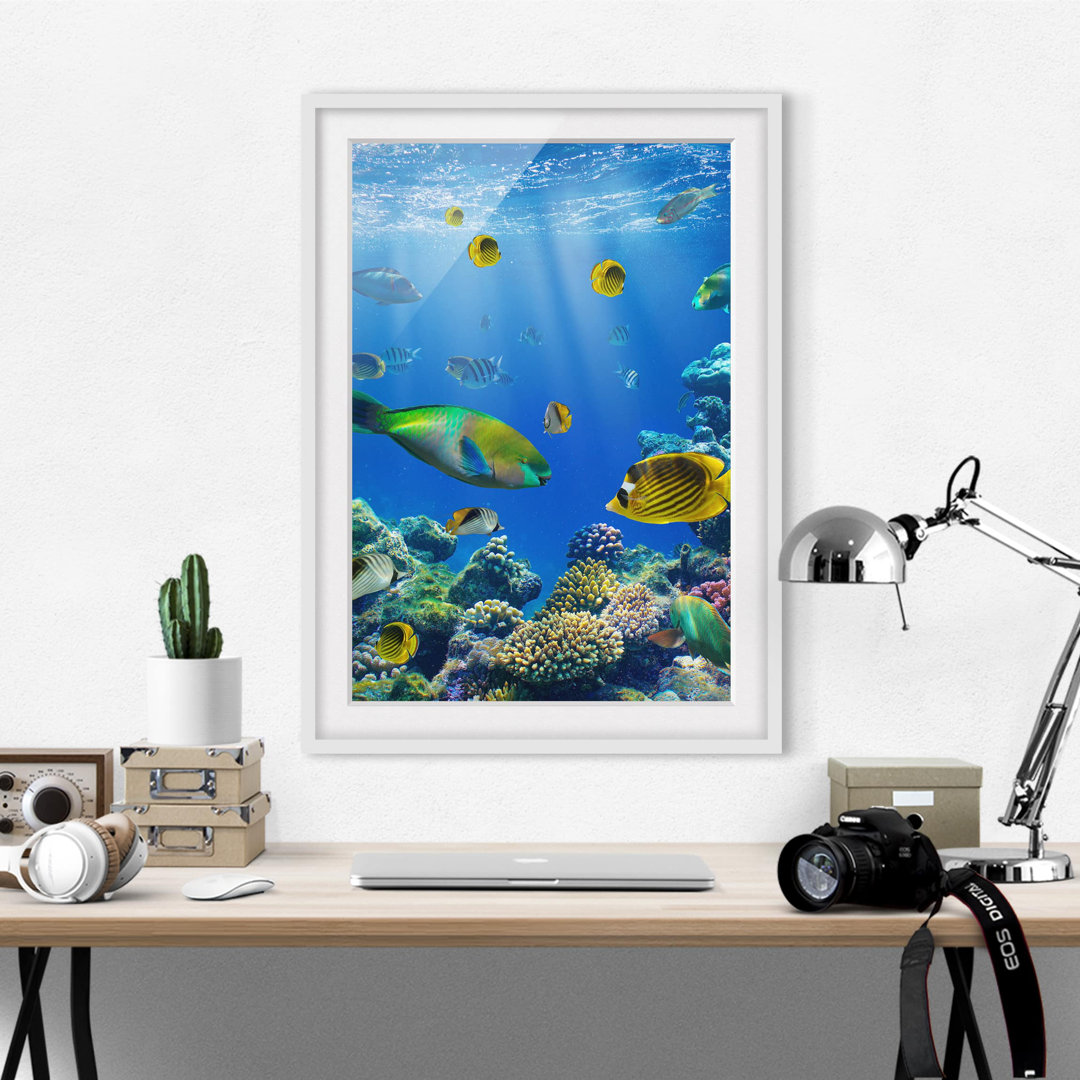 Gerahmtes Poster Underwater Lights