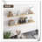 Halima 3 Piece Wood Bracket Shelf-1492296375