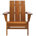 Teak