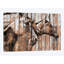 «Run With The Horses» par Diego Tirigall, impression sur toile-31921382-73552452-73552453