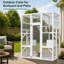 Cat House-1595774778