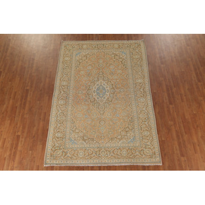 Traditional   Area Rug 7x10