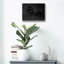 «Onyx» par PhotoINC Studio-567545986