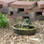 Hyman Ceramic Solar Frog Outdoor Water Fountain