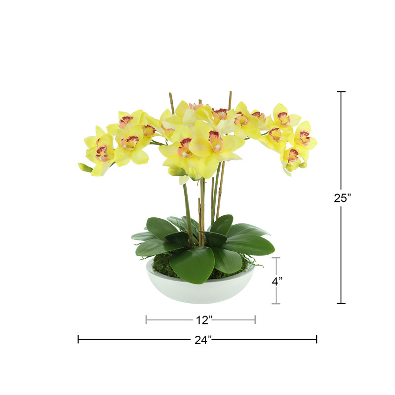 Orchidées disposées en pot de fibres, Jaune