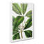Flowering Tristania Plant - Wrapped Canvas-55363878