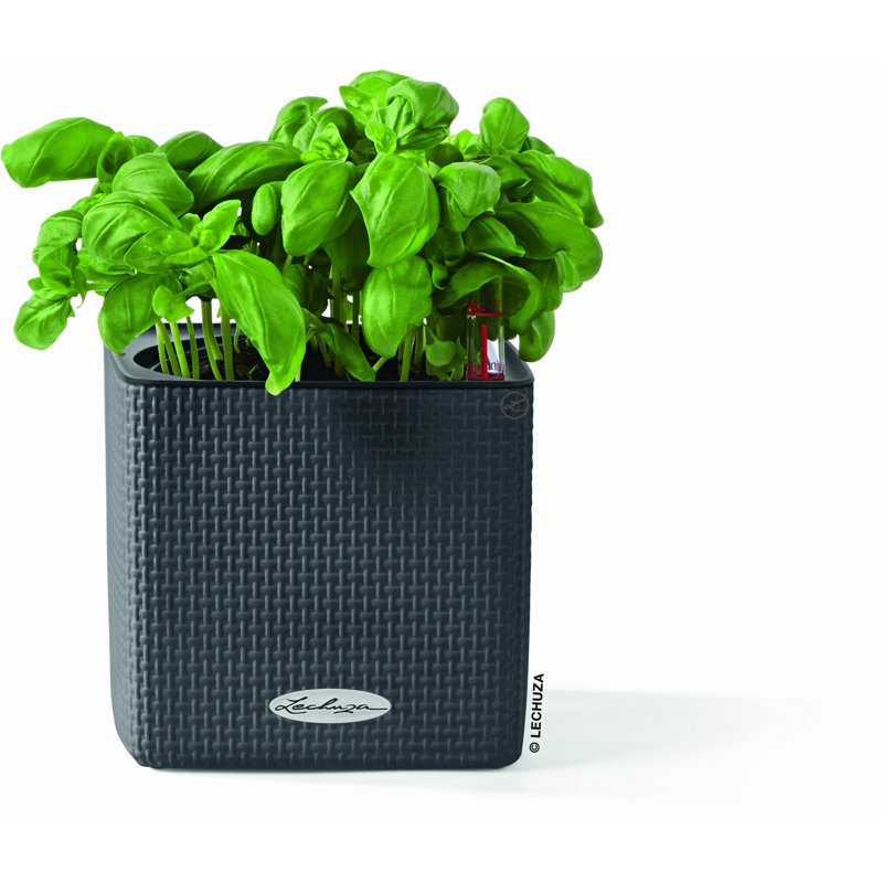 Cube Pot Planter, Slate