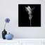 « curcuma iii, b&w » par magda indigo, impression sur toile-31920096-73555380-73555385