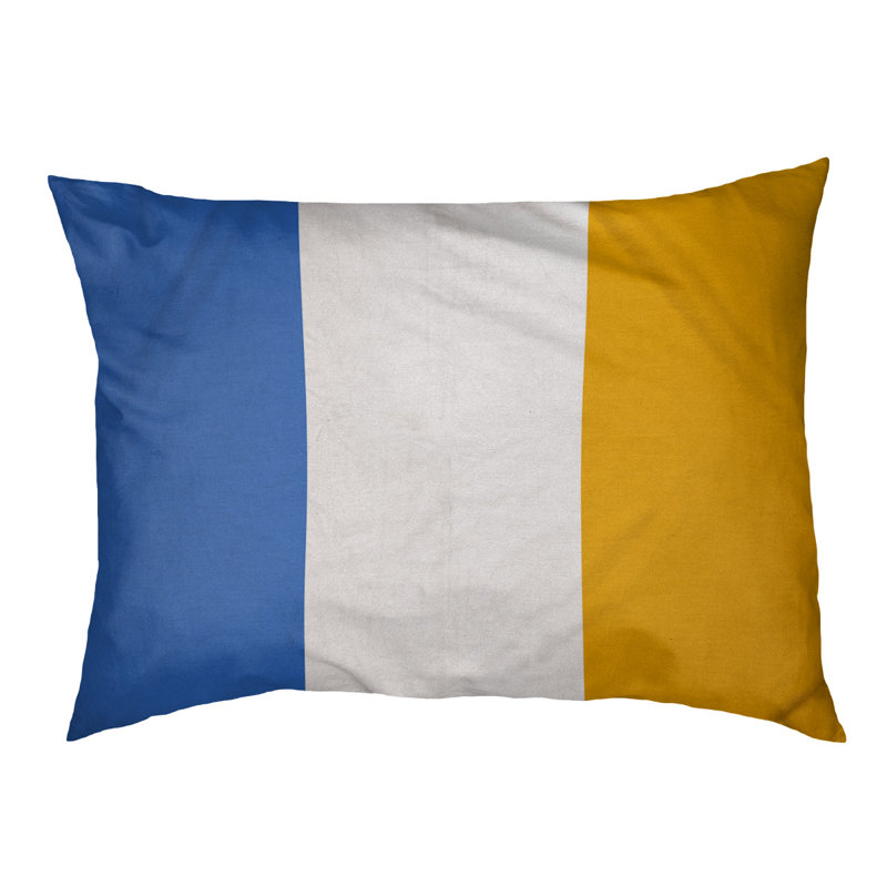 Coussin de lit pour chien Cincinnati, Moyen (l 28 po x P 18 po x H 6 po), Bleu / doré