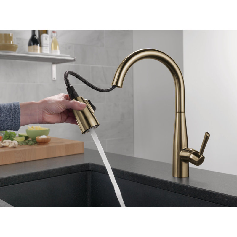 Robinet de cuisine à poignée simple avec technologie MagnaTite® et Diamond Seal Essa, Bronze champagne