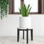 Plant Stand-1799716466