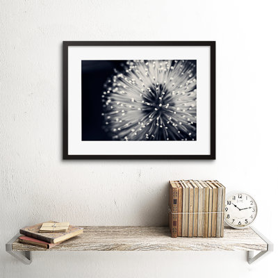 Photo Nature Plant Flower Black White Beautiful Home - Single Picture Frame Art Prints