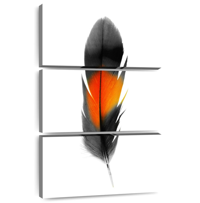 Kerner Black And Orange Feather, 57" H x 36" W