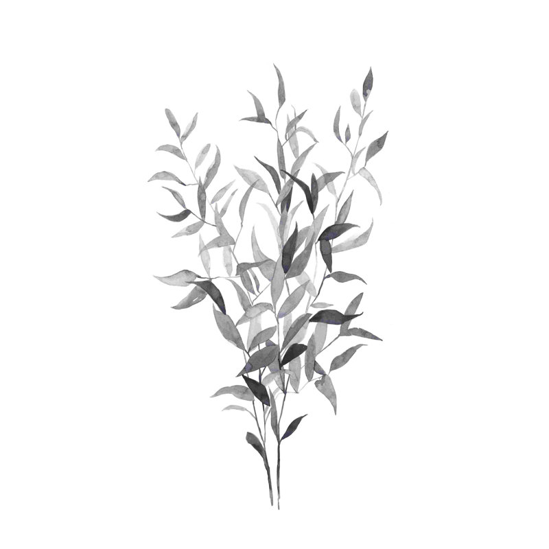 Paynes Grey Botanicals I, H 12 po x l 8 po x P 1,25 po