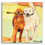  «Stick With Me» par Pat Saunders-Art mural en verre acrylique blanc, 24 po x 24 po-19431234