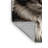 Washable Cymric Cats Area Rug-908216318