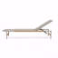 Ensemble de 2 chaises longues d'extérieur, aluminium