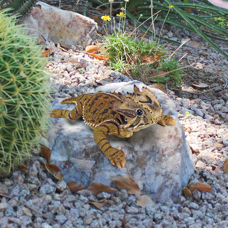 Horned Toad Lizard Statue