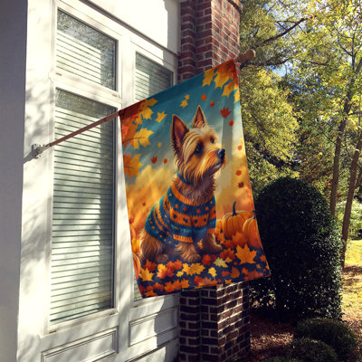 Double Sided 40'' H x 28'' W Polyester House Flag