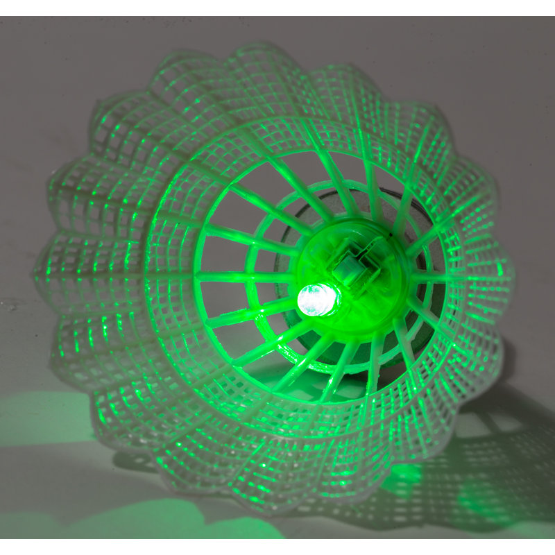 Franklin Sports 2 Player Badminton LED Racket & Reviews | Wayfair