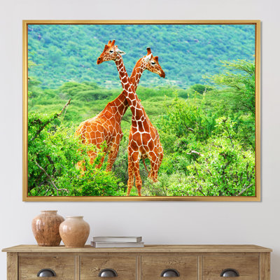 " Fight of Two Giraffes on Green " Color Photography Print