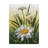 " Spring Daisies " Oil Print-25810807